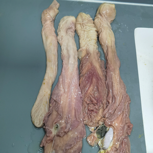 Sheep-skin belt