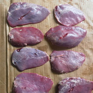 Sheep spleen