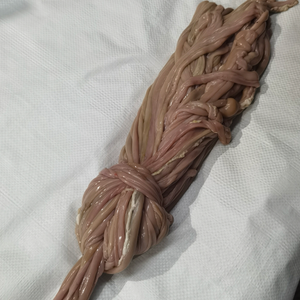 Sheep intestines